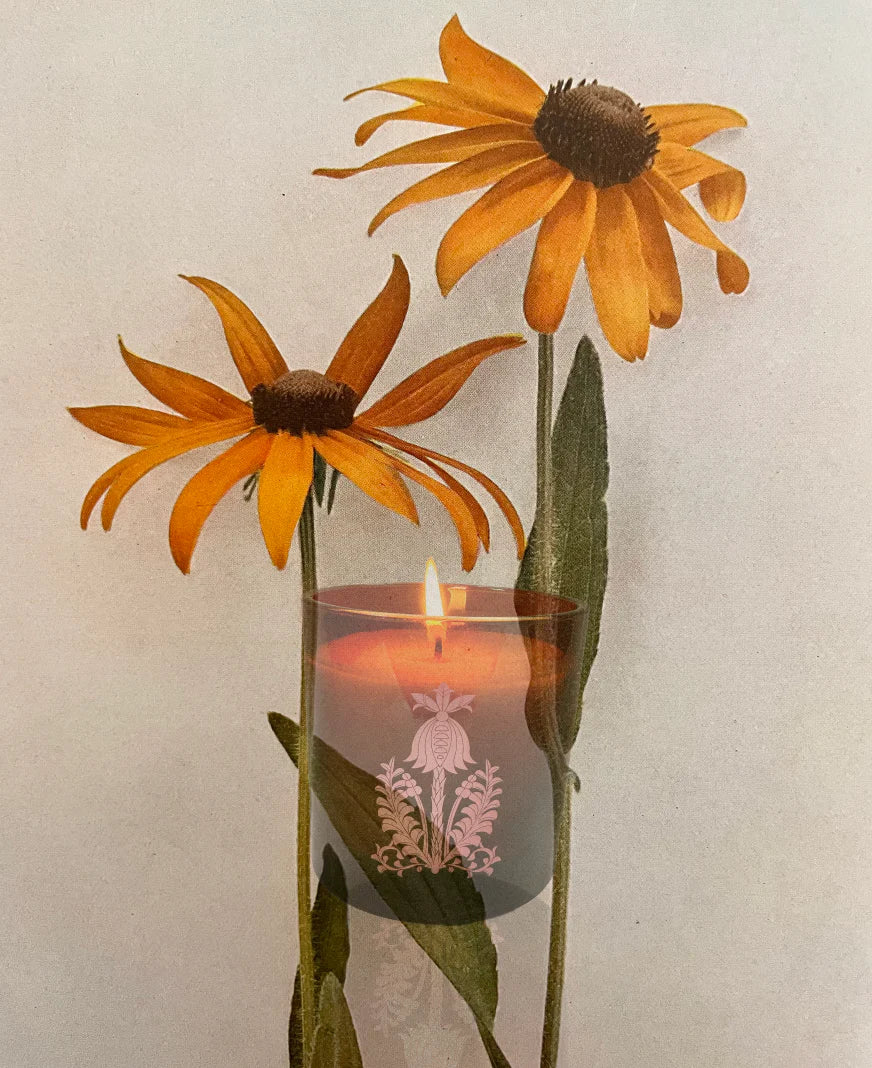 The Quiet Botanist - Orchard Sun Candle