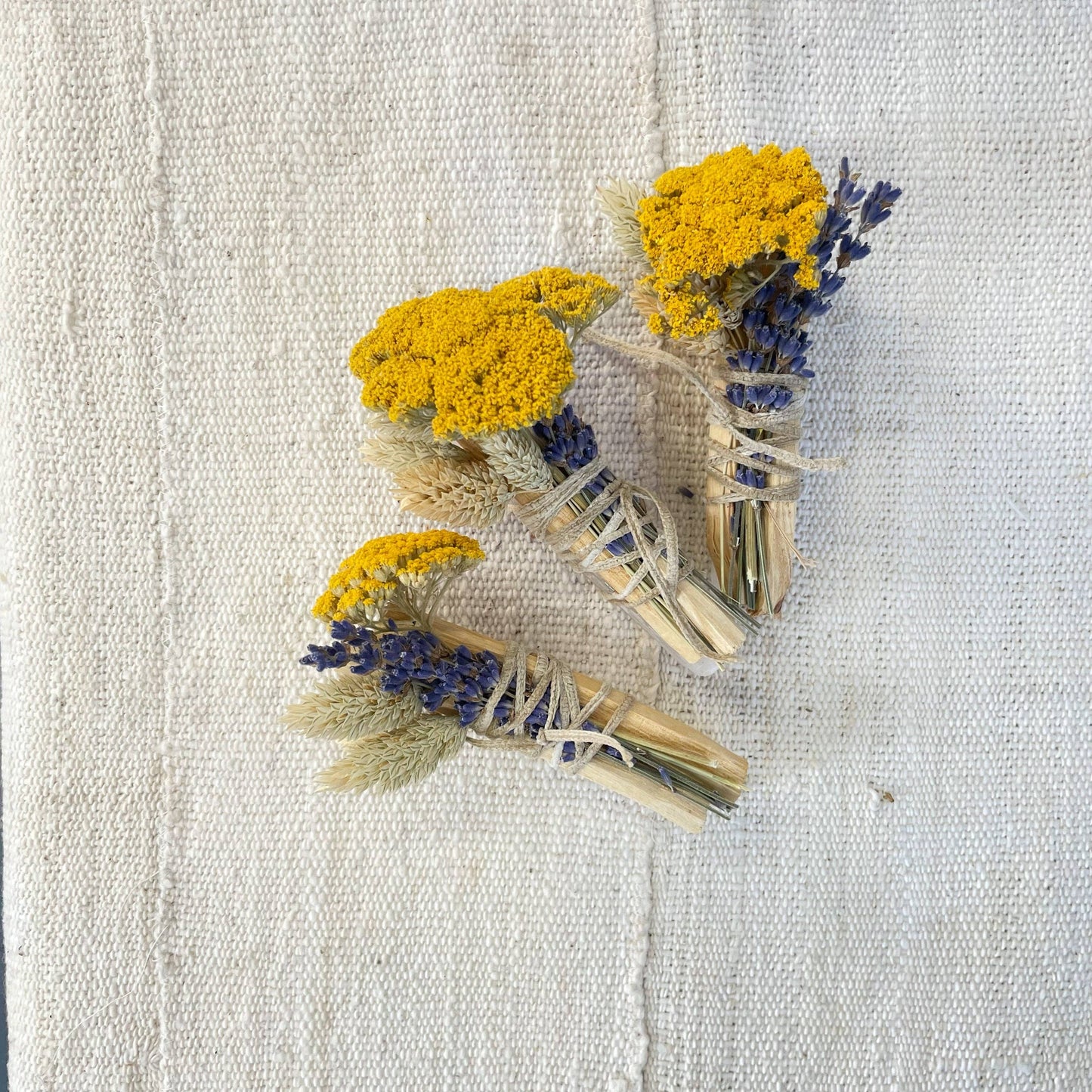 Catherine Rising - NEW Selenite Palo Santo Bundle