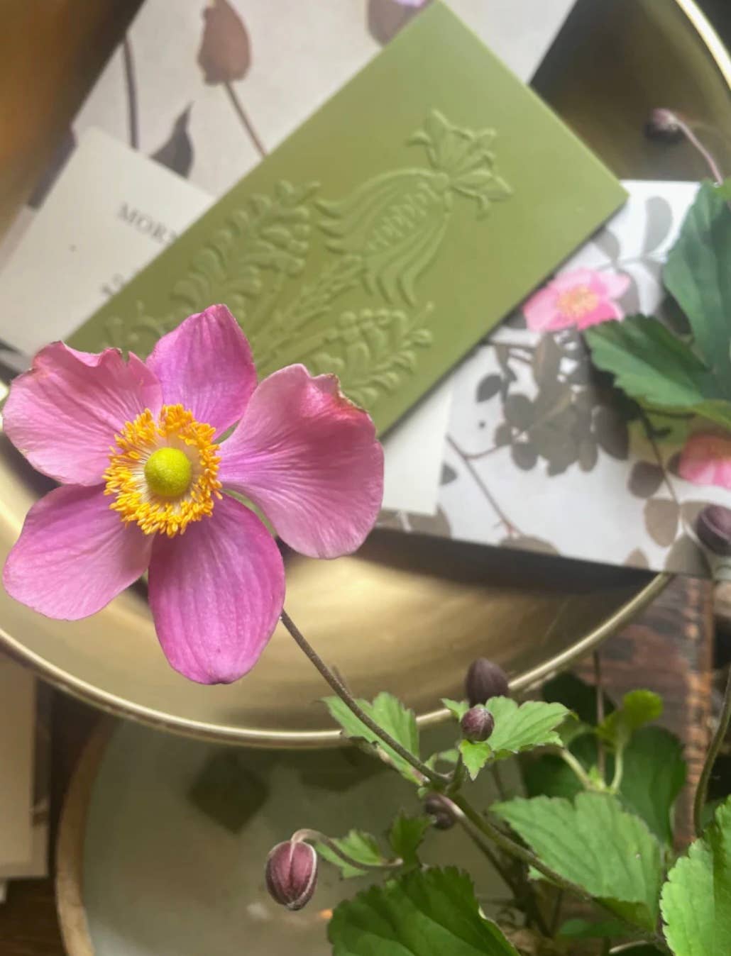 The Quiet Botanist - Matcha Rose Chocolate Bar