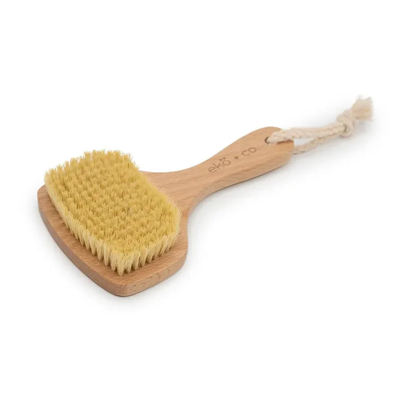 Dry Brush for body - fan shaped
