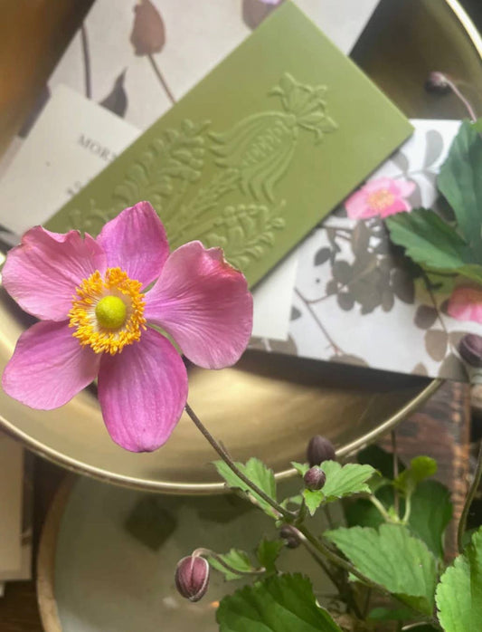 The Quiet Botanist - Matcha Rose Chocolate Bar 