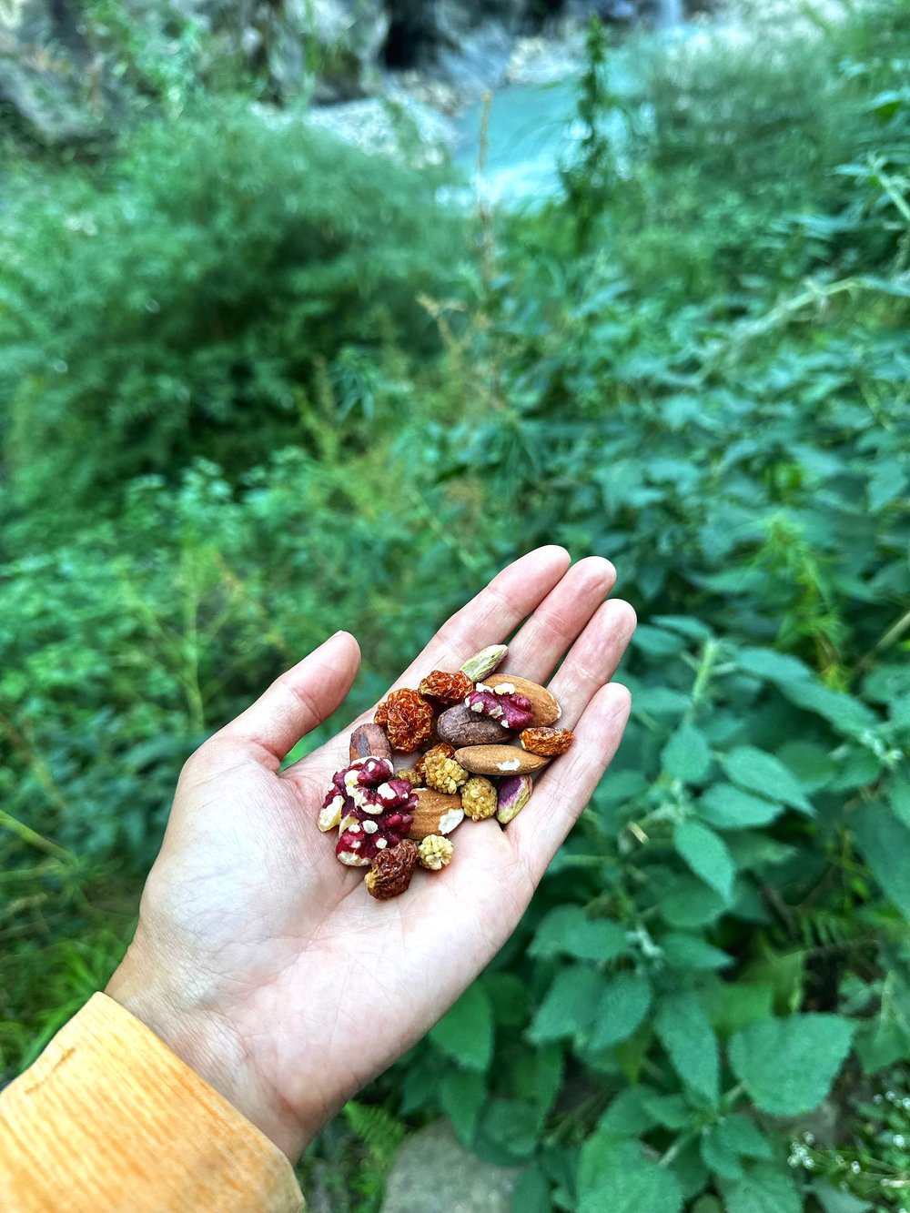 Frühling Original Superfood Snack